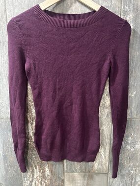 Express Plum Crewneck Sweater